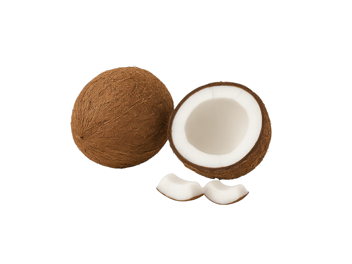 Coconut ingredient of our mixes. adds sweetness and fiber.